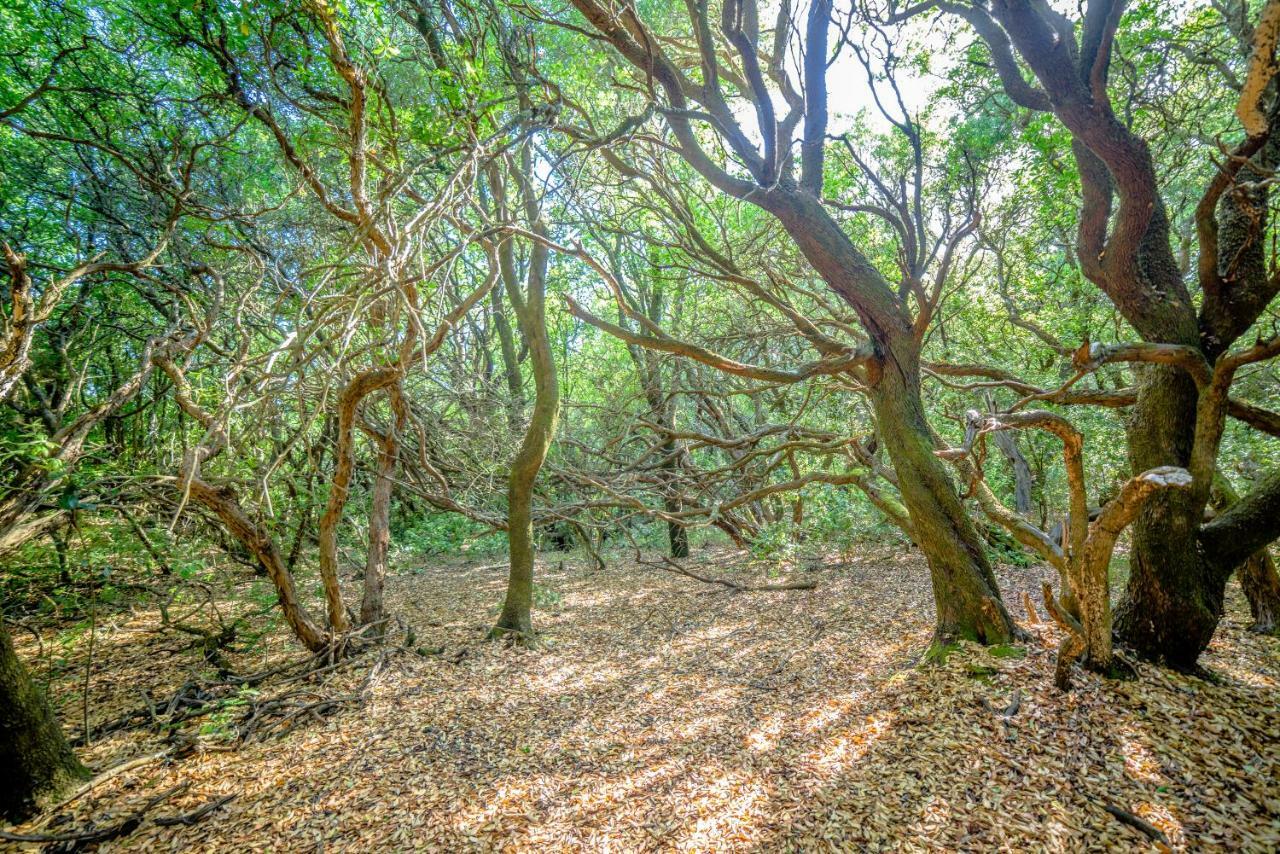 Appartamento Menecrates Rustic - San Matteo Ágios Matthaíos Esterno foto
